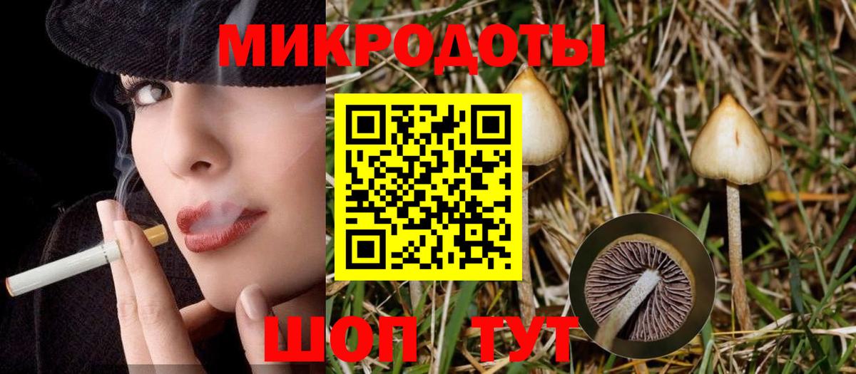 Галлюциногенные грибы мицелий  что такое   Звенигород  Псилоцибиновые грибы мухоморы  Вход с VPN 